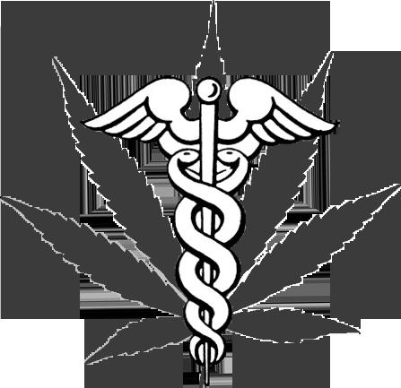 TerraVida Holistic Center: Medical Marijuana Tuesday, January 23 11:00am Medical marijuana will be available to patients in Pennsylvania in February.