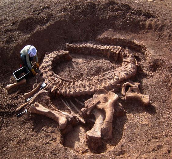 Paleontology: Looks at times Archaeology: Study of the by looking at what people left behind Anthropology: Study of and how it developed over time - - - - - - - - - - - - - - - -