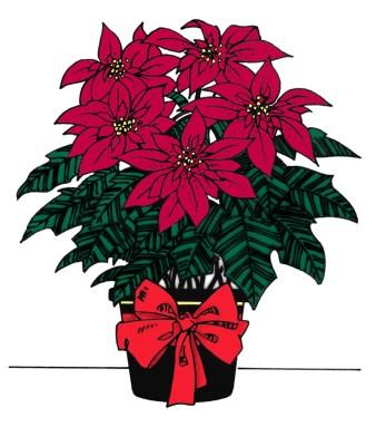 Order your Poinsettias now to beautify the altar area at our Christmas Services. They are $8.50 each and MUST be ordered by Wednesday, December 7, 2016.