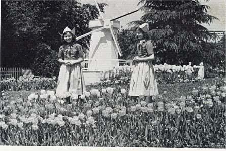This 1939 photograph shows the tulip garden at Ivey's home. It illustrates the idyllic suburban retreat Charlotte's New South elite sought to create.