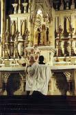 50 Most Popular Rosary Cases De Maria Nunquam Satis!