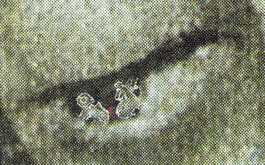 The above image is the retouched reflection on the right cornea---of Juan Diego and Bishop Zumárraga.