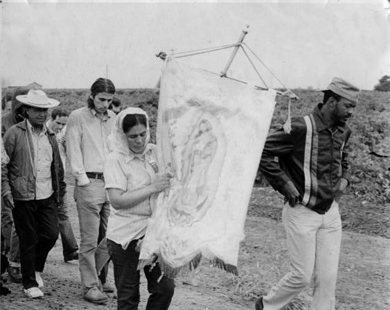Cesar Chavez walks through a field with farm workers, one of