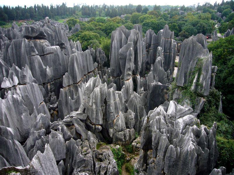 Stone Forest An
