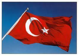 Young Ottomans Constitutionalism Liberal reform Turkish national state