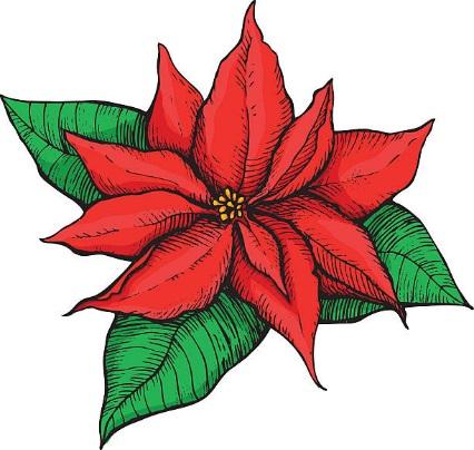 You are invited to help celebrate Advent by providing poinsettias to adorn the sanctuary during the Advent season. The cost is $9.