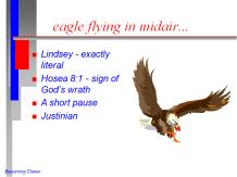 Very little is said in the commentaries about this section. Lindsey, alone, sees a literal eagle. Others follow the King James, seeing a literal angel (a mistranslation).
