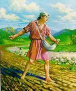Matthew 13 Parables The Sower: