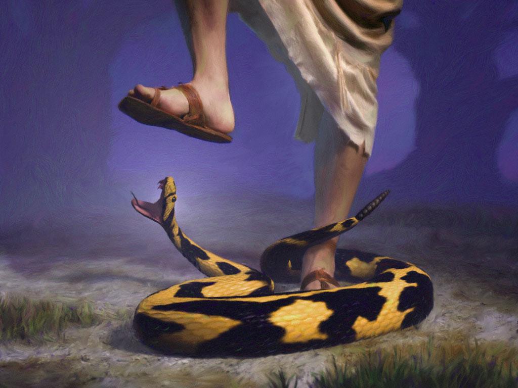 The hostility between the serpent and the woman, between the serpent s seed and the woman s seed, typifies the unending conflict between all that represents the forces of evil on the one