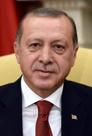 Erdogan s Presidency The link below is to a BBC article from April of this year.