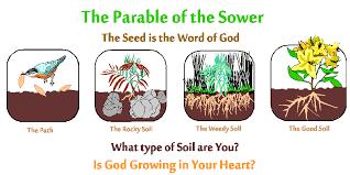 Page 8 of 10 http://www.truthinlove.com/parables/parable_sower.htm There are three parallel versions of this story in Matthew, Mark and Luke.