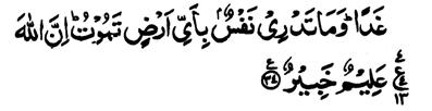 Allah is Aware of all that you do. 30. That is so because Allah, He is the Truth, and that which they invoke beside Him is Falsehood; and because Allah, He is the most High, the Great. 31.