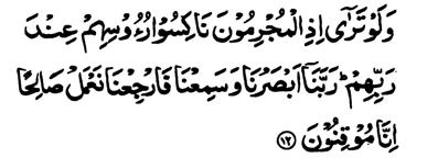 Surah-32 454 12. If you only could see the guilty hanging their heads before their Lord, saying: Our Lord!