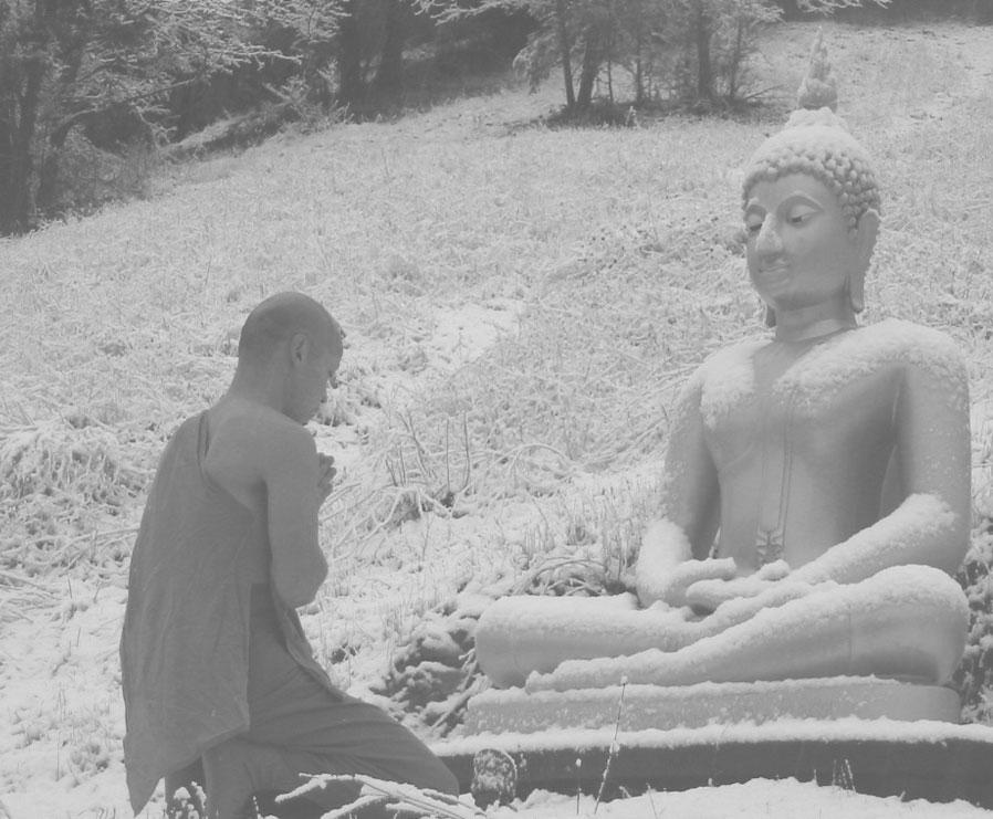 FROM THE MONASTERY Monastery photo Ajahn Prateep pays respects to a snowy Buddharupa In late December, after a full month of teachings and events, Ajahn Pasanno returned from Thailand.