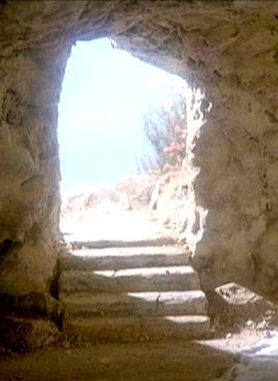 Empty tomb + appearances = Resurrection Jesus could NOT have survived crucifixion