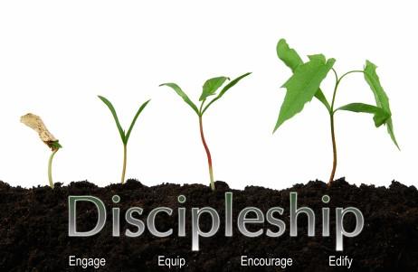 4 Growing in Discipleship throughout the Year What s going to be new this year will be discipleship emphases that will come according to the church year.