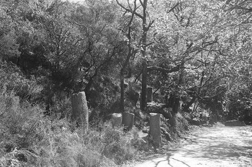 Fig. 8: A typical milestone cluster on the road from Asturica Augusta, at 31 Roman miles from Bracara Augusta. Fig.