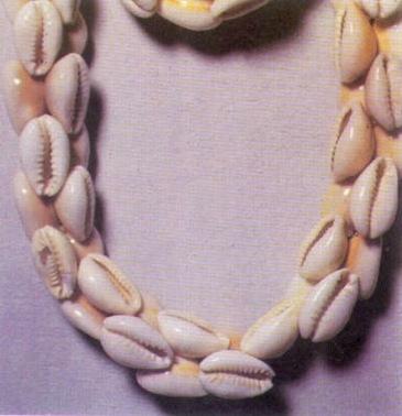 Cowry shells were used as money in Africa.
