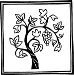 Lutheran Church of the Resurrection Sunday, May 3, 2015 Fifth Sunday of Easter INTRODUCTION This Sunday's image of how the risen Christ shares his life with us is the image of the vine.