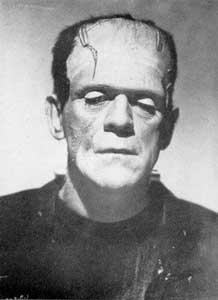 Shelley: Frankenstein s question: Was the misery inevitable or unavoidable?