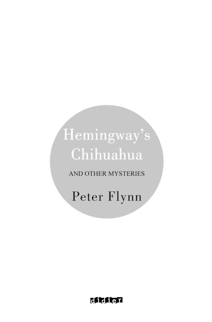 Hemingway s Chihuahua AND