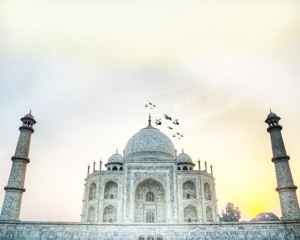 What you ll get: Tour to the charismatic Golden Triangle i.e. Delhi, Taj Mahal, Jaipur. 7 days stay in 5-star hotels. Breakfast, Lunch & dinner on all days.