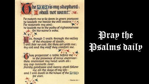 became my lifeline. You may be familiar with Psalm 23. There are 150 such prayers in the Psalms, enough to supply you with a half years worth of time-honored prayers.