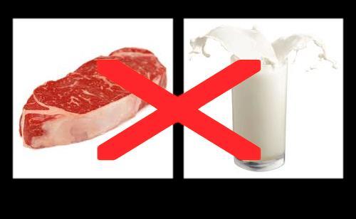Meat and Milk The Torah commands in three places to not boil a kid in its mother s milk, which is explained by the Talmud to mean: no eating, no cooking, no benefiting from a mixture of meat and milk.