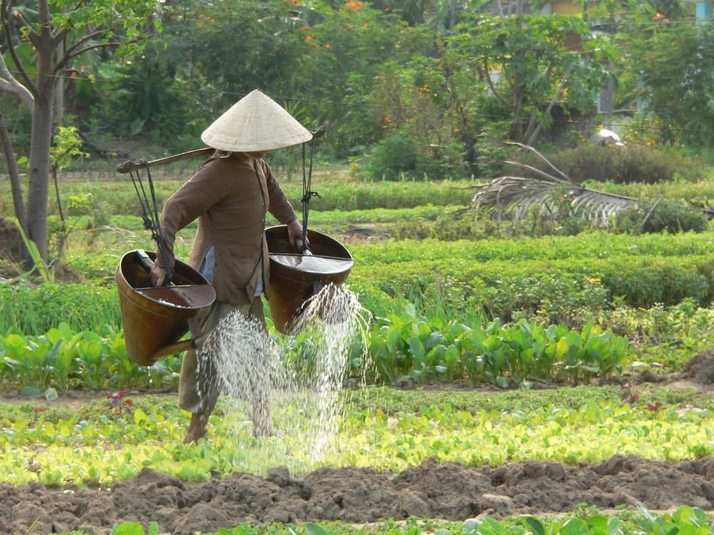 Countries visited Vietnam Tour Highlights The contrasting histories of Ho Chi Minh City and Hanoi. Discover local art and music scenes. Riverboat cruise of the Mekong Delta.