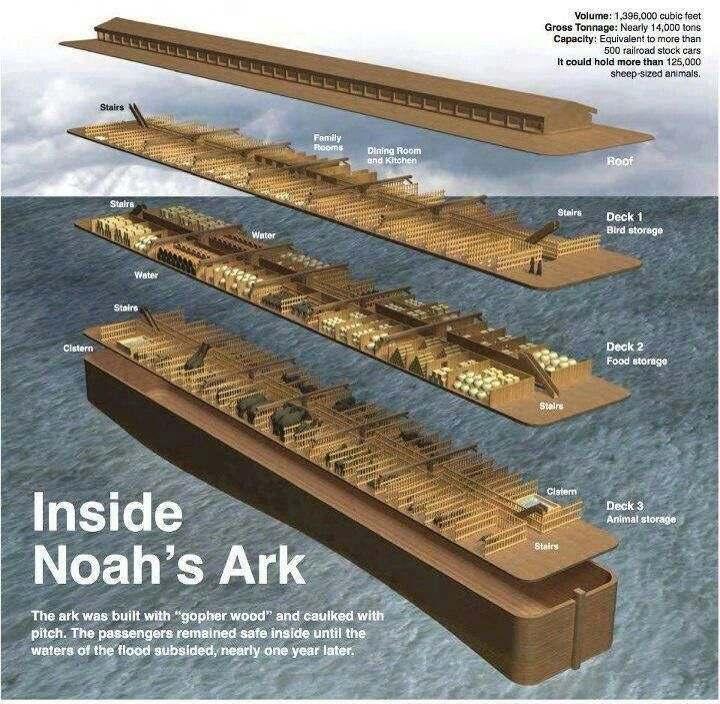 "Make yourself an ark of gopherwood;