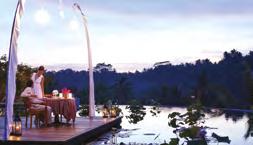 Savor a delectable 4-course meal amidst the dramatic reflections and panoramic views of the surrounding forest that