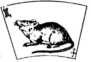 Your Fortune in Dragon Year RAT (1900, 1912, 1924, 1936, 1948, 1960, 1972, 1984, 1996, 2008, 2020) Rat is smart, sharp, clever, and has a natural ability to be successful.