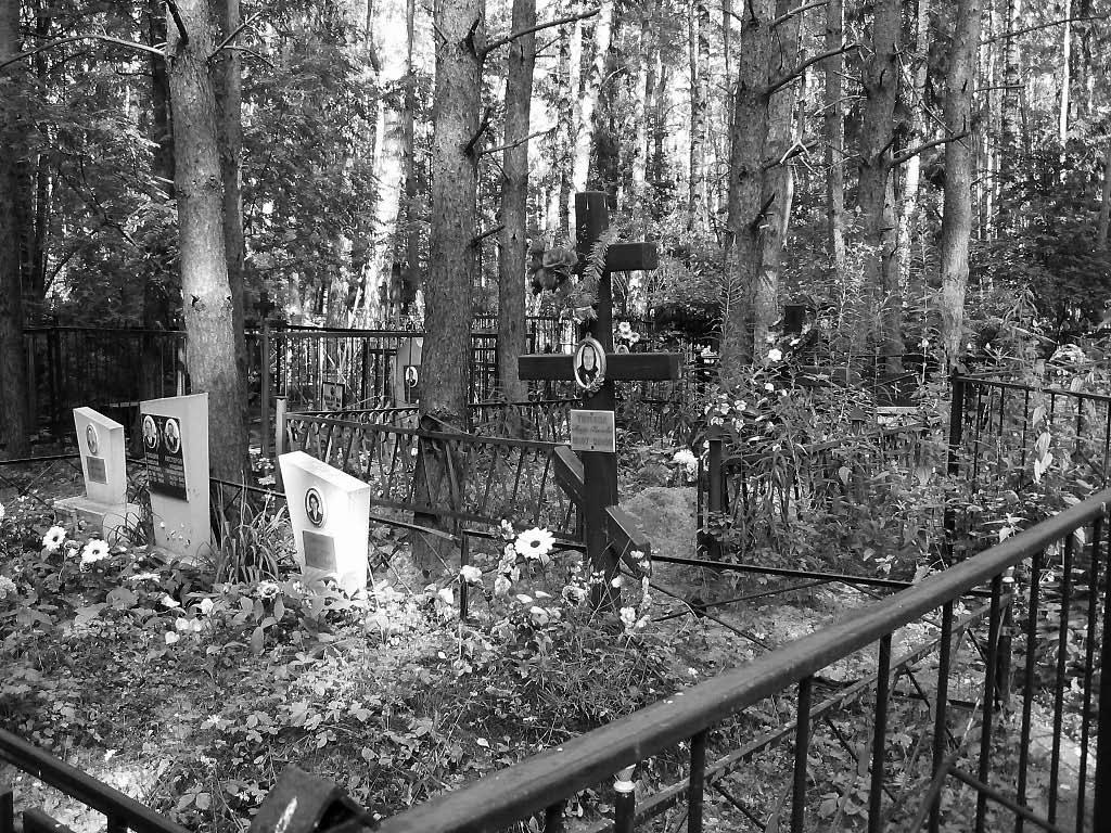 FIGURE 14.7. A cemetery near Moscow resembles an overgrown forest more than a lawn.
