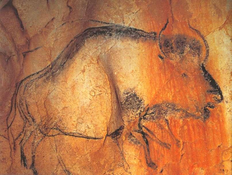 Chauvet Cave Bison Bison from