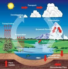 ] The hydrologic cycle was understood by man only in the 17 th century 1100 billion gallons of water per hour flow into the sea sea does not fill