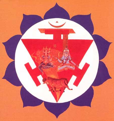 Page 7 of 17 19. Above it [the Svadhisthana], and at the root of the navel, is the shining Lotus of ten petals, of the colour of heavy-laden rain-clouds.