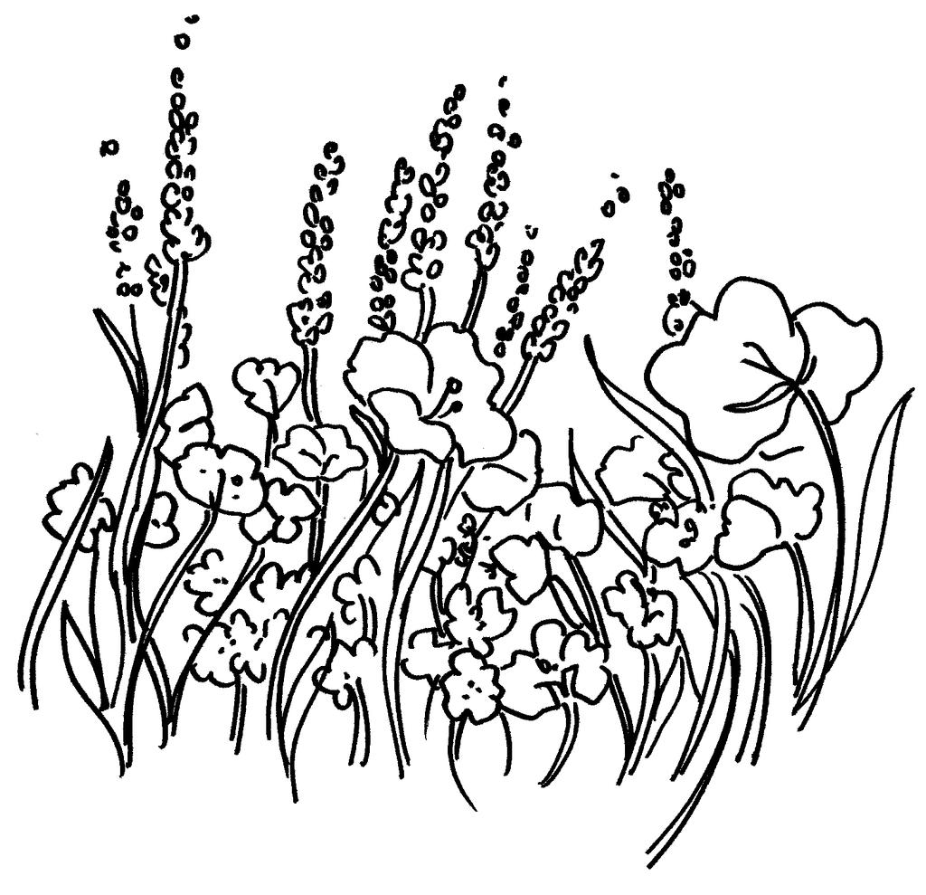 Coloring Page do not be anxious Look how the wild flowers grow!