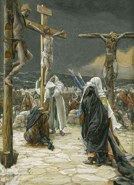 The Life-Giving Cross He himself bore our sins in his body on the tree By his wounds you have been healed.