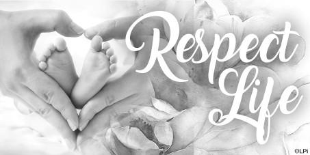 March 4, 2018 The Third Sunday of Lent 14 Respect Life News Spiritual Adoption Program MONTH SIX Developing Baby Your spiritually adopted baby is developing quite beautifully now.