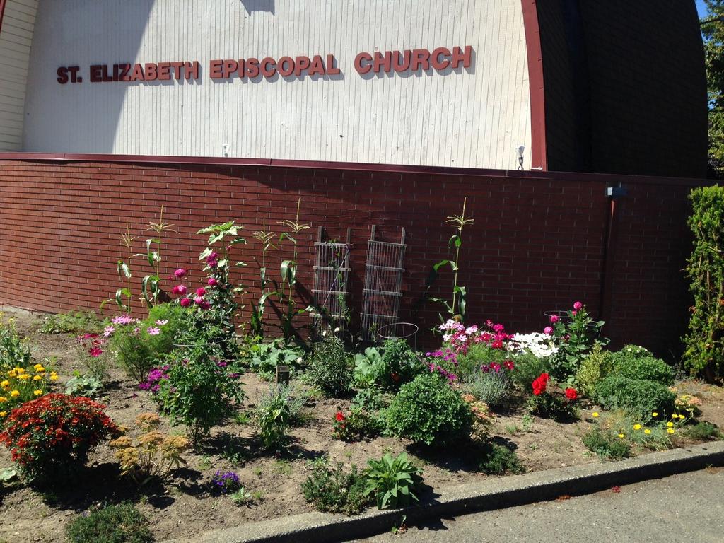 Watch our garden grow Have you noticed the thriving garden of flowers and vegetables in front of the church? These are the fruits of St.