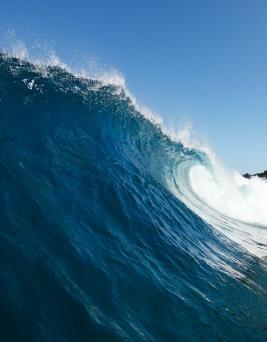 COVENANT PULPIT Catch The wave A Cowabunga Moment: The Wave Goes Global March 24, 2013 Pastors Bob Petterson &