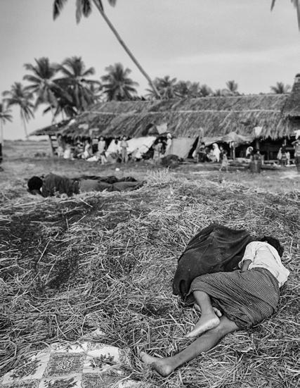 A young man sleeps on a pile of cow dung in a camp for internally displaced Rohingya, Ohn Taw Gyi, Rakhine State, Myanmar, November 1, 2012.
