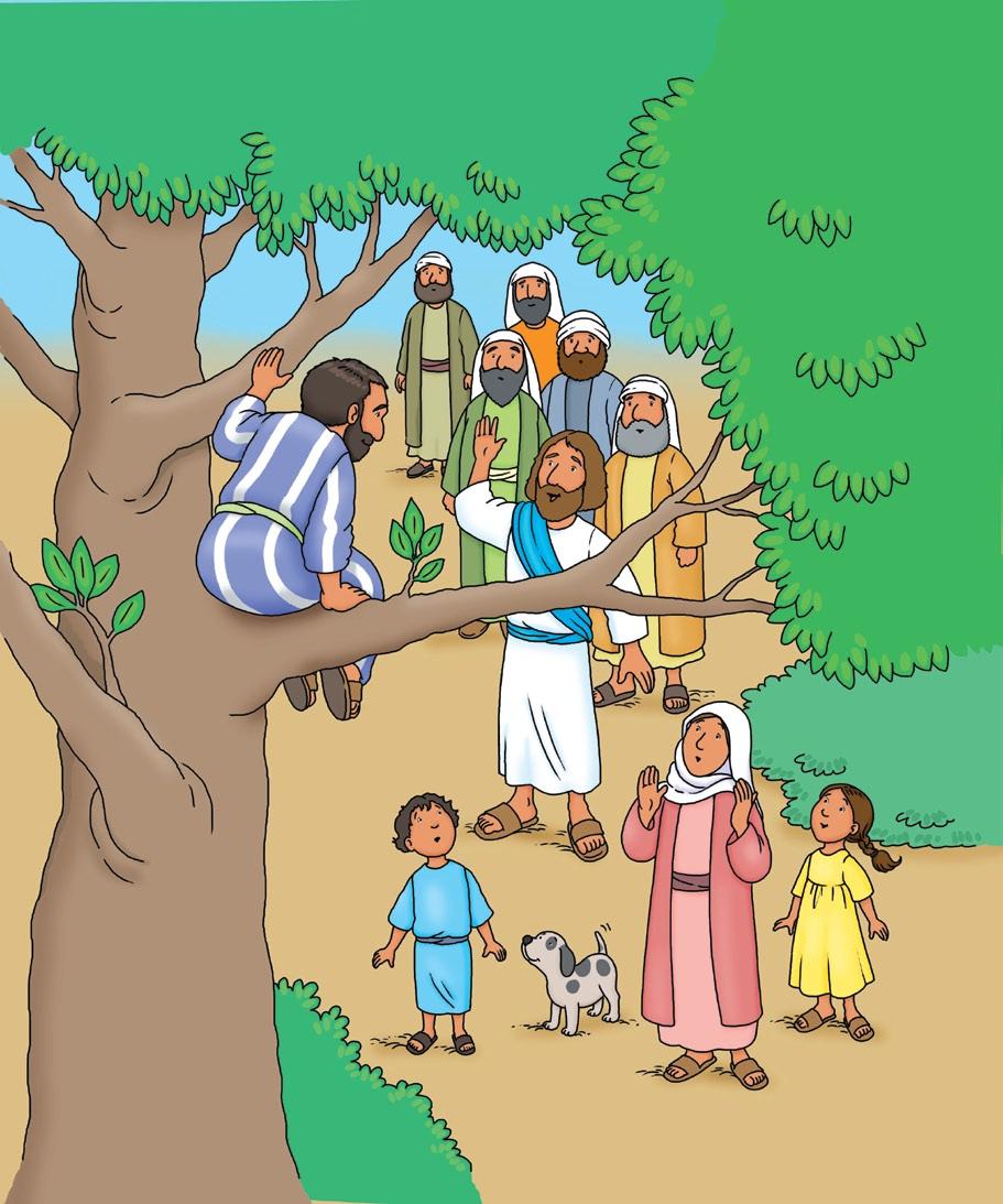 17 Zacchaeus