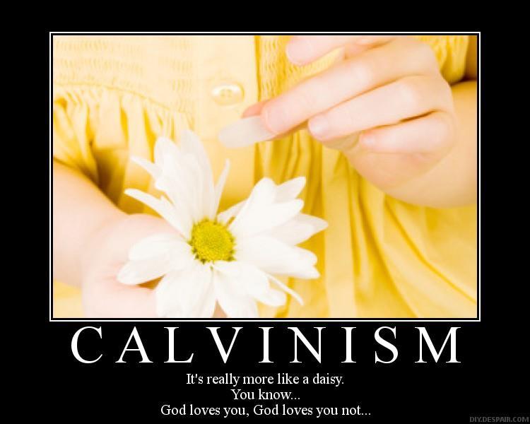 Calvinism / See, Think,