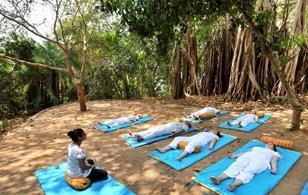 30hrs Karma Yoga - if you wish you can join the staff for a community based group exercise which could be helping on the farm, gardening or beach cleaning Weekly cultural programs