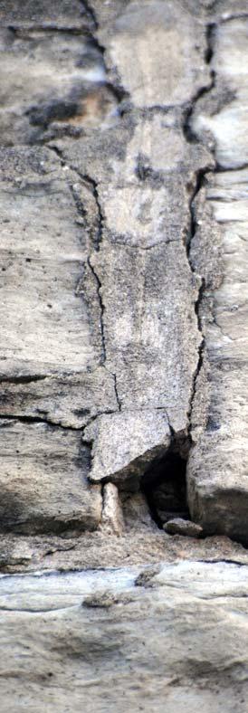 The damage to church and rectory mortar joints caused