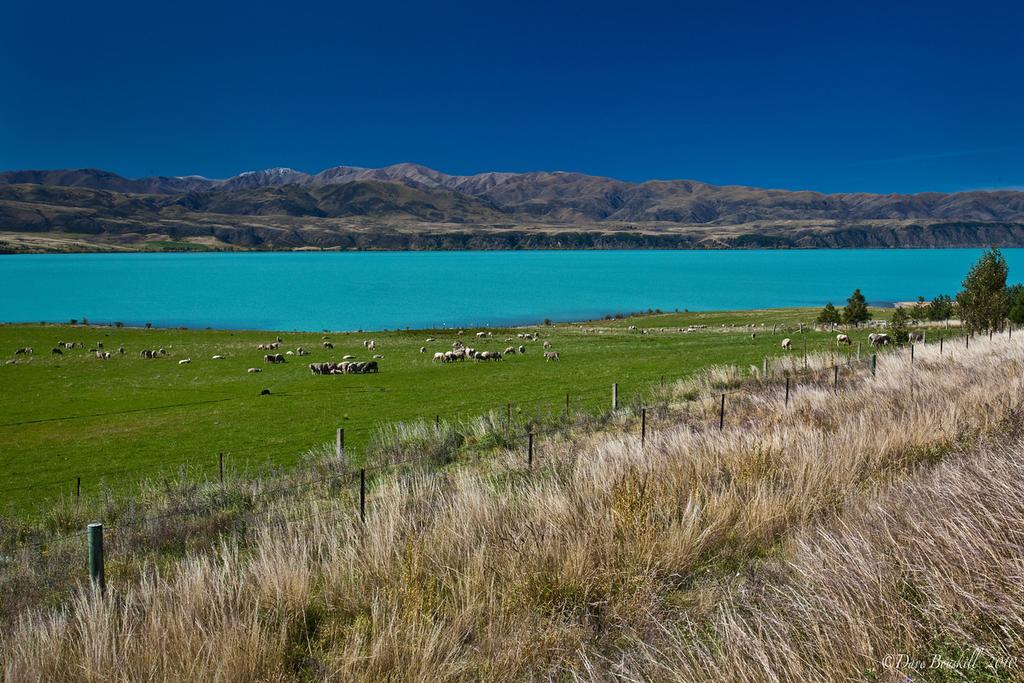 South Island, New Zealand New Zealand boasts some of the most diverse and striking scenery on earth.