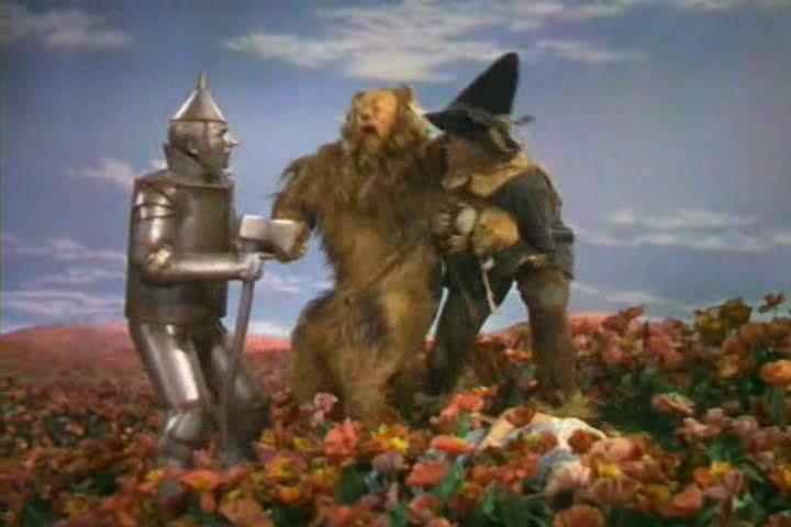 The Wizard of Oz: The Deadly Poppy Field symbolizes the dangers of apathy and complacency.