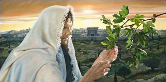 11:12-25. Jesus at the Temple. Next day on His way to Jerusalem from Bethany Jesus was hungry and saw a fig tree that had no figs on it because it was not the season for figs.