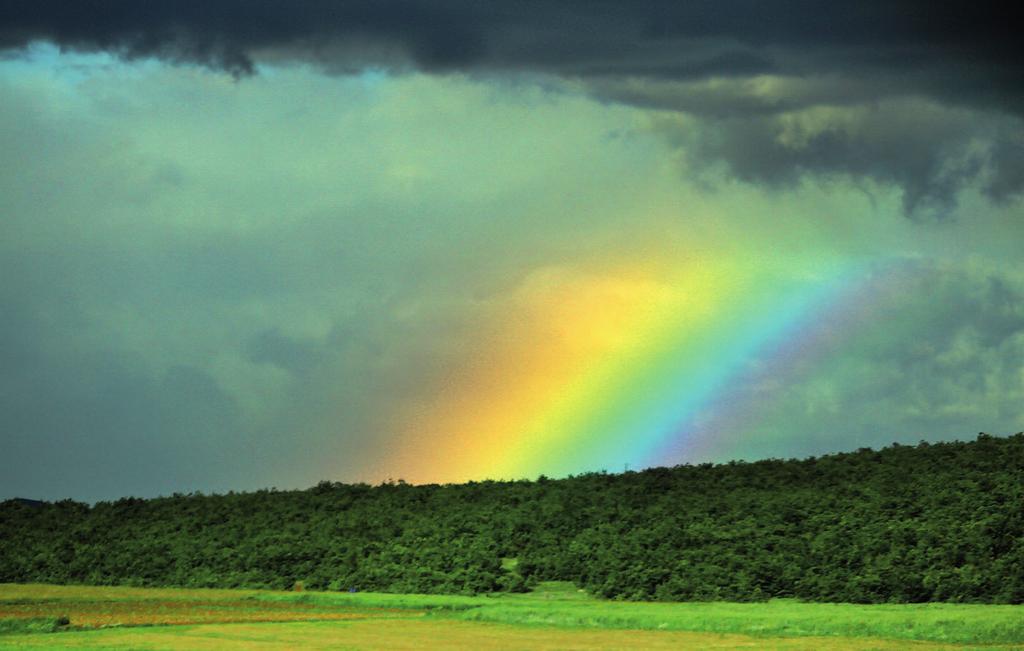 Rainbow after a storm. Photo: Ben Njeri. Image Wikimedia Commons FEW numismatists today collect religious medals. This is sad because some of them are beautifully designed and quite inspirational.